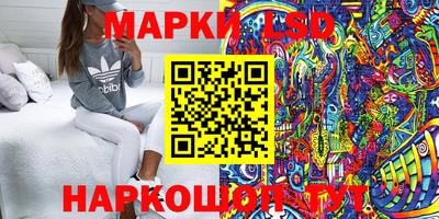 стафф Тара