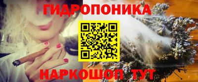 стафф Тара