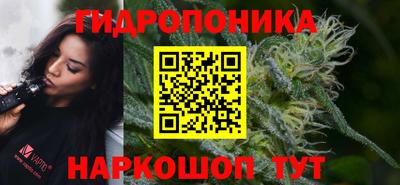 стафф Тара