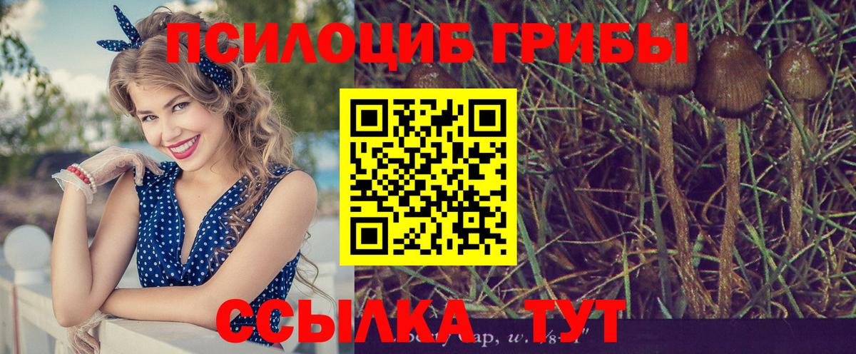 Галлюциногенные грибы мухоморы  Вход с VPN  Нижнекамск  Галлюциногенные грибы Magic Shrooms 